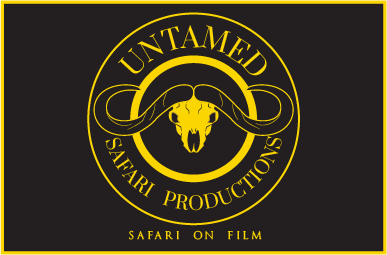 Logo and Branding